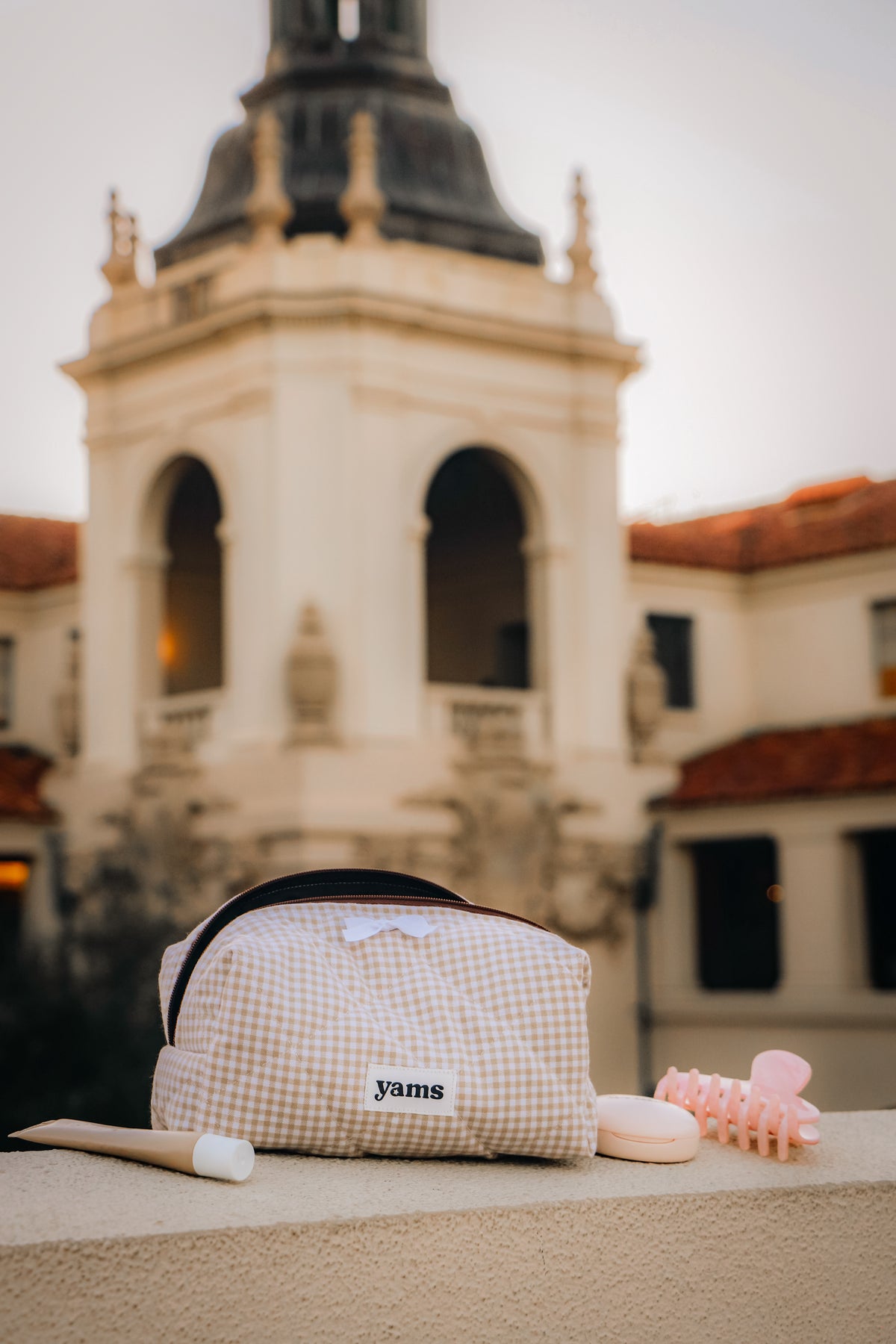 Cinnamon Makeup Bag